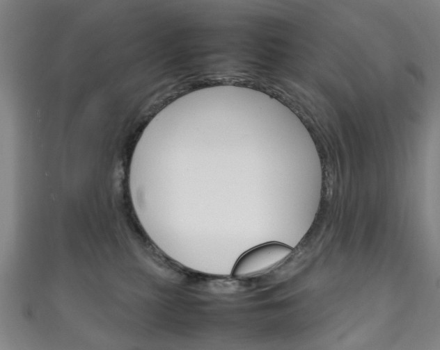 X0000111250279200907021026