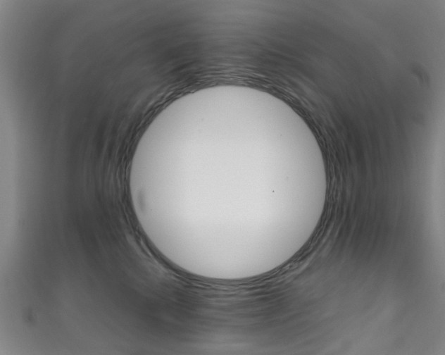 X0000111250280200907021026