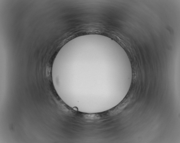 X0000111250281200907021026