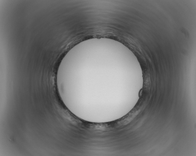 X0000111250282200907021026