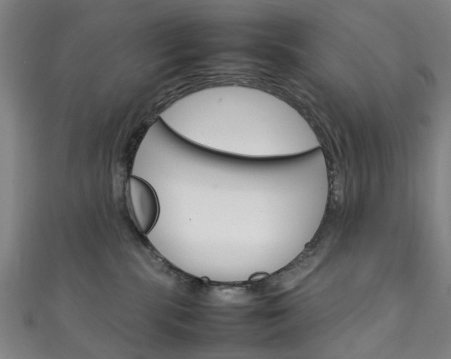 X0000111250283200907021026
