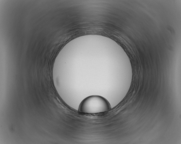 X0000111250284200907021026
