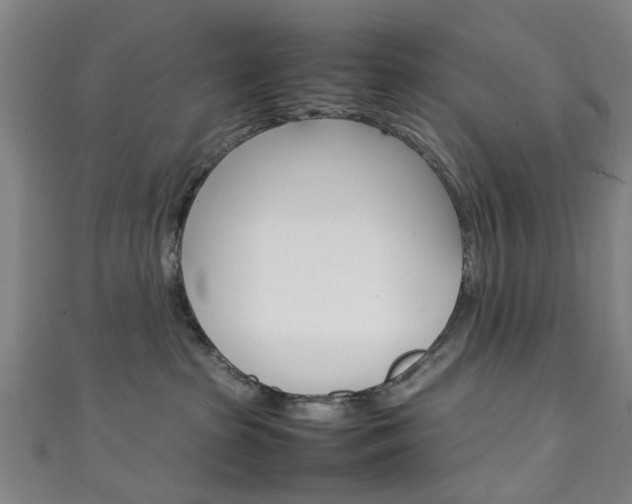 X0000111250285200907021026
