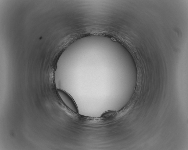 X0000111250288200907021026