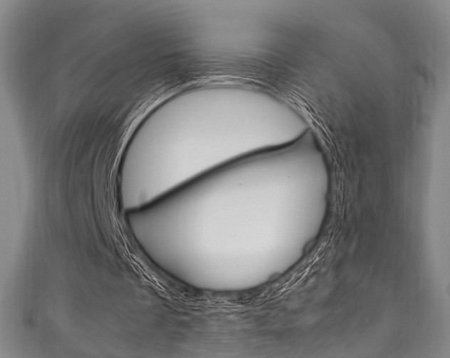 X0000111250289200907021025