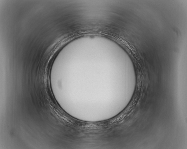X0000111250290200907021025