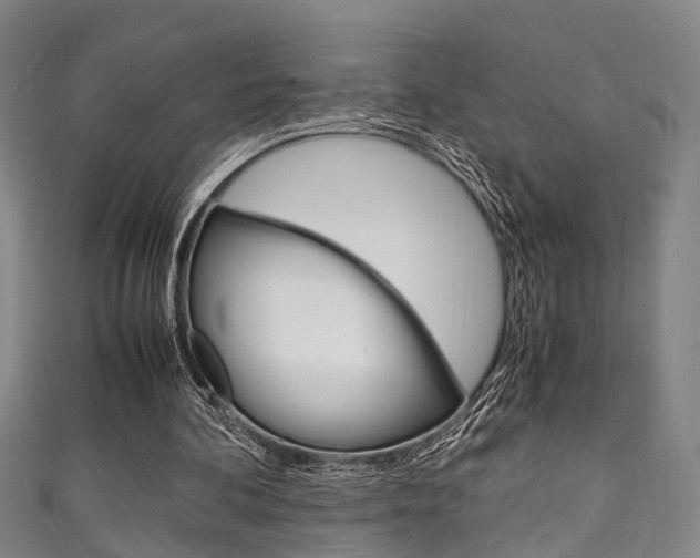 X0000111250292200907021025