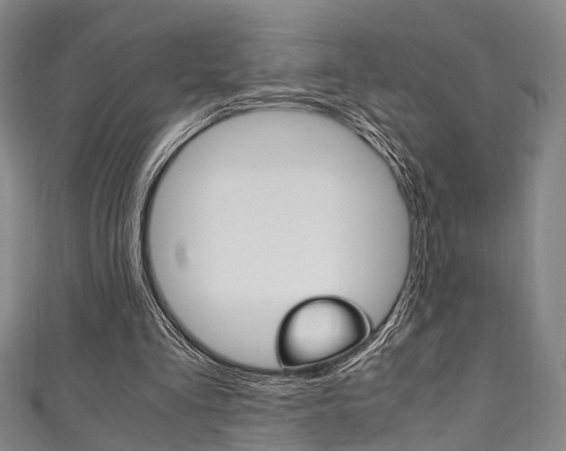 X0000111250293200907021025