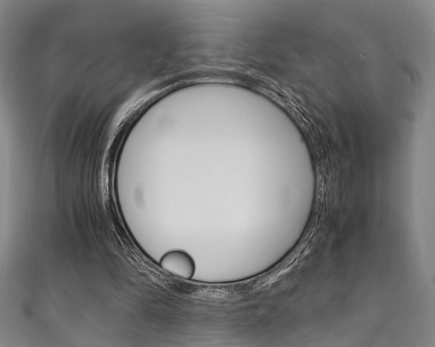 X0000111250294200907021025