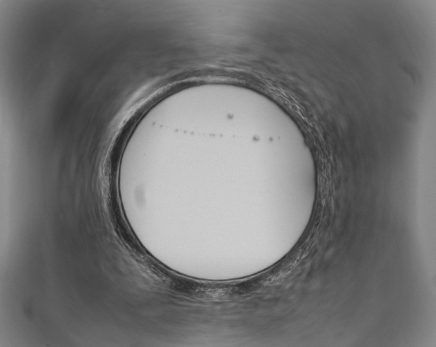 X0000111250295200907021025