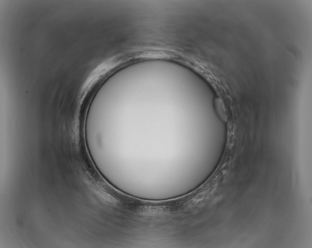 X0000111250296200907021025