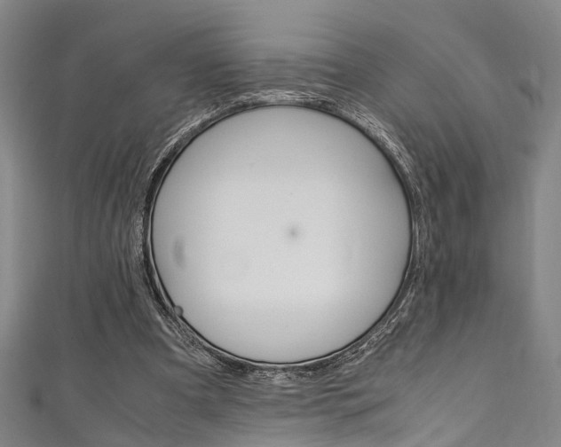 X0000111250297200907021025