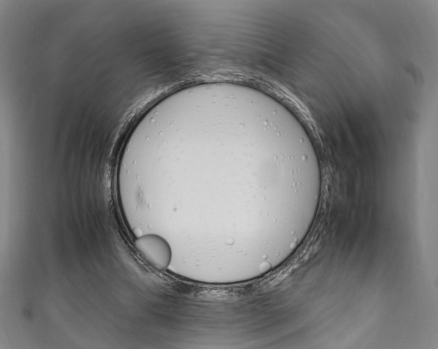 X0000111250298200907021025