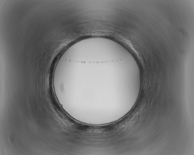 X0000111250299200907021025