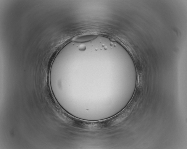 X0000111250301200907021025