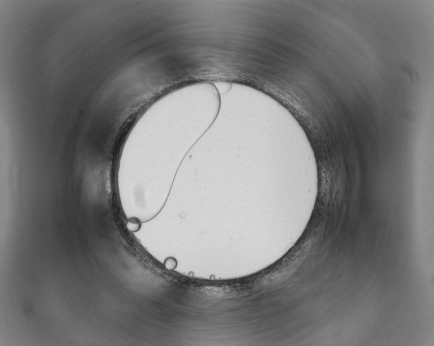 X0000111250302200907021025