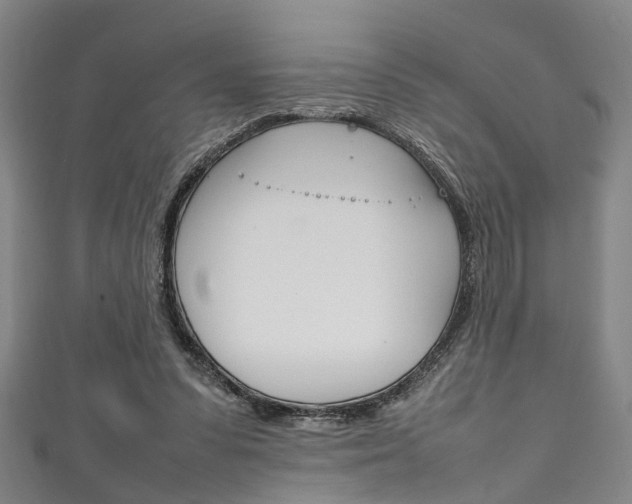 X0000111250303200907021025
