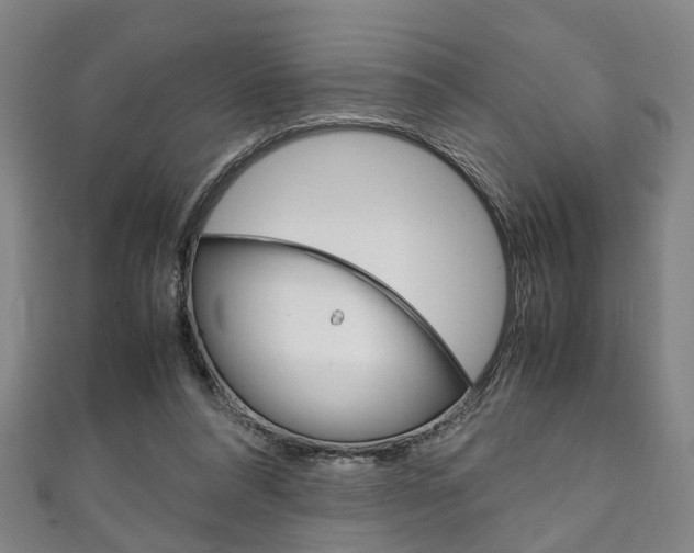 X0000111250304200907021025