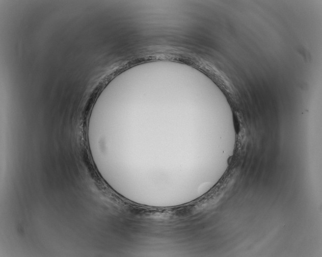 X0000111250306200907021025