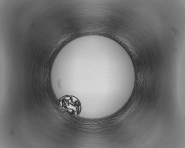 X0000111250308200907021025