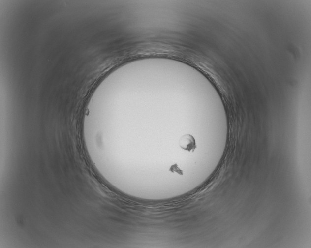 X0000111250309200907021025
