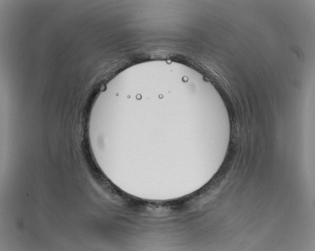 X0000111250311200907021025