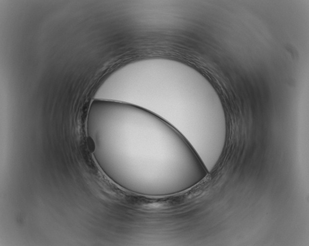 X0000111250312200907021025
