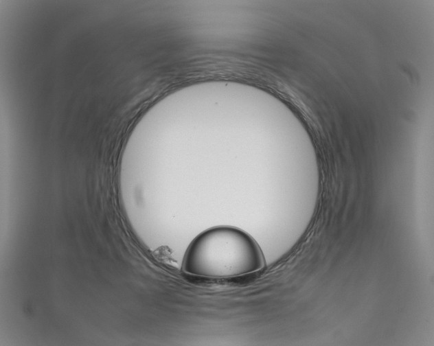 X0000111250313200907021025