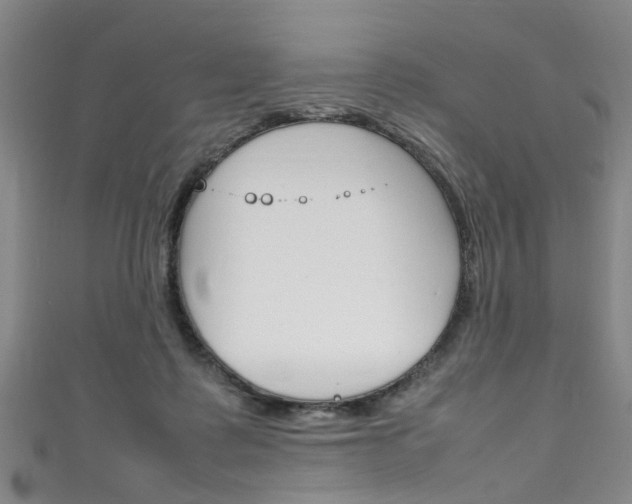 X0000111250315200907021025