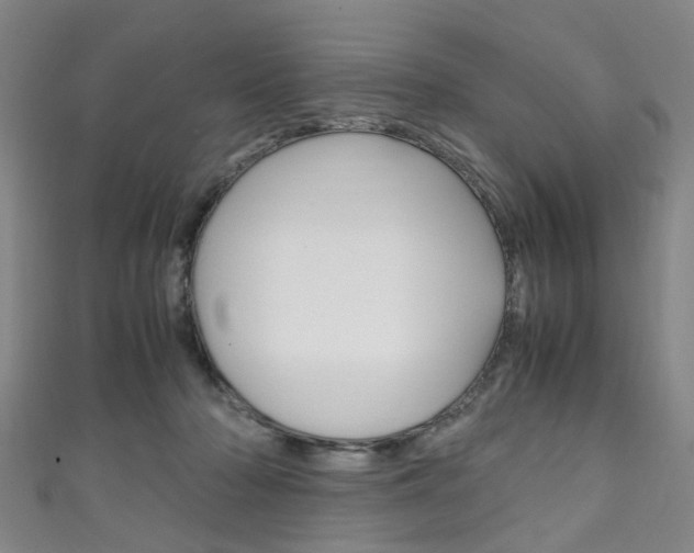 X0000111250318200907021025