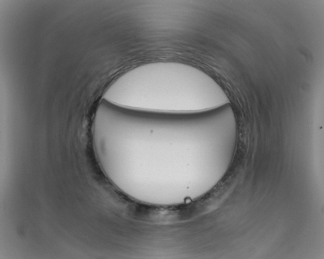 X0000111250319200907021025