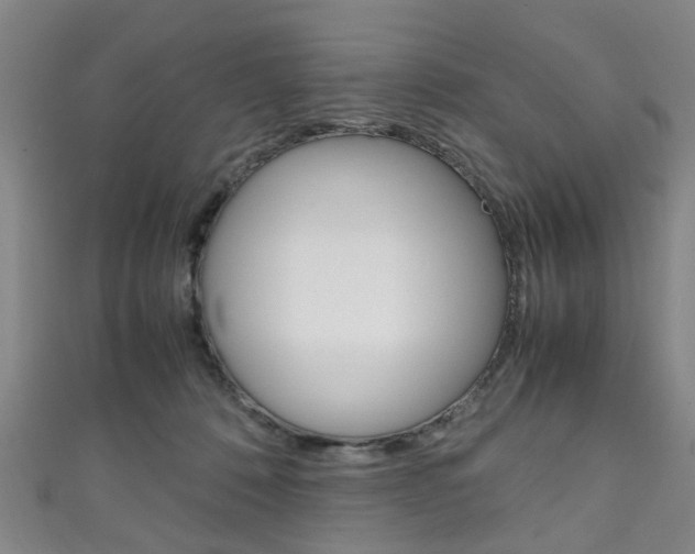 X0000111250320200907021025