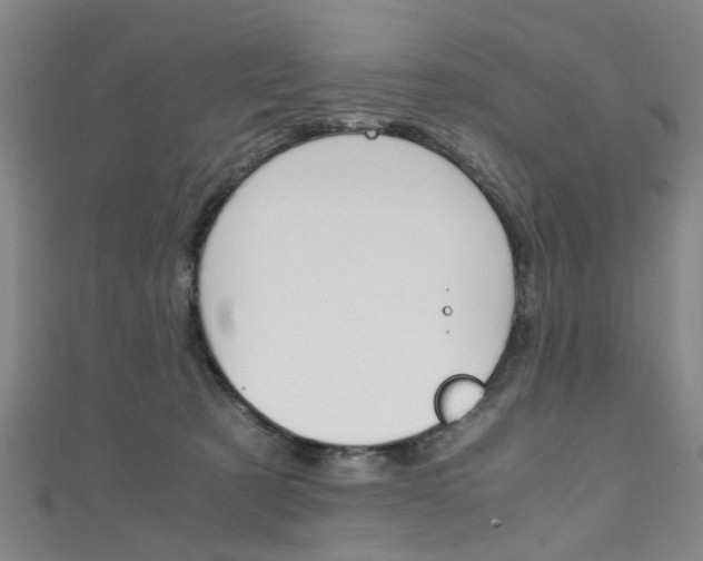 X0000111250321200907021025