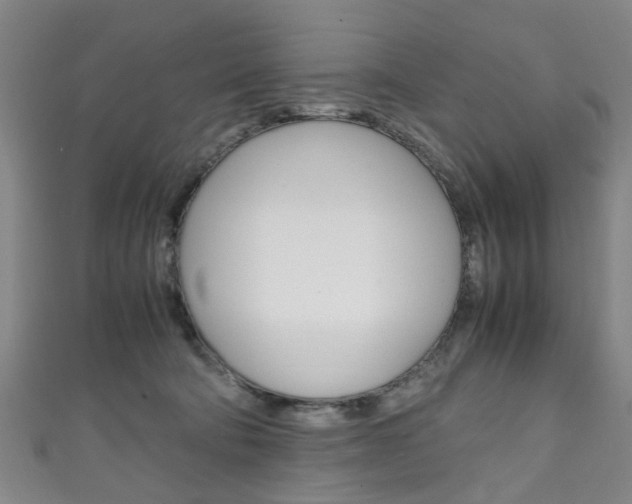 X0000111250322200907021025