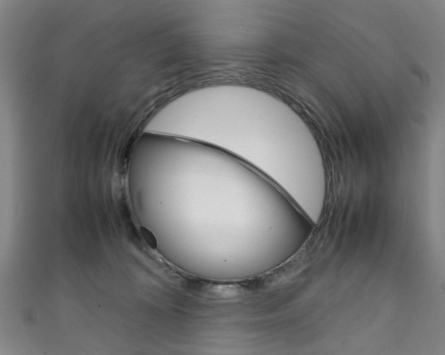 X0000111250324200907021025