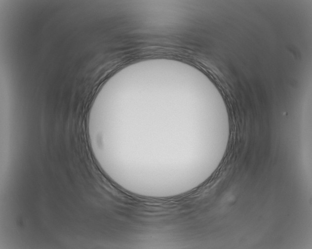 X0000111250325200907021025