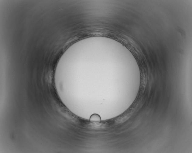 X0000111250326200907021025