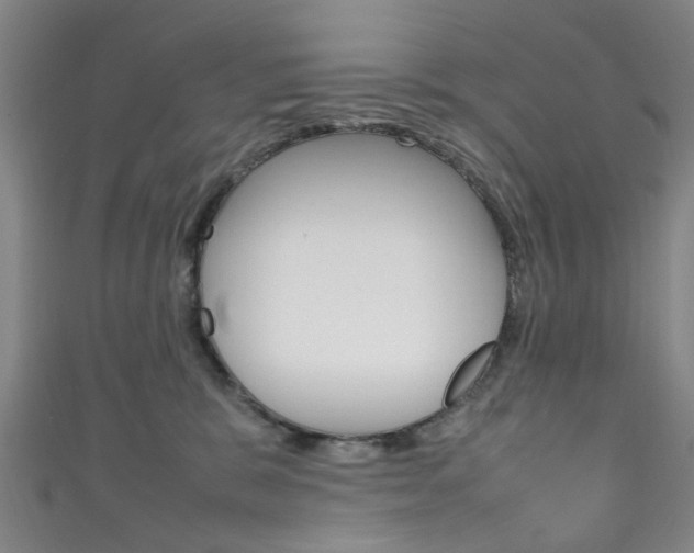 X0000111250327200907021025