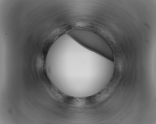X0000111250328200907021025