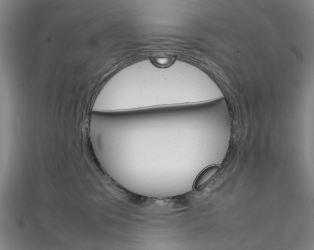 X0000111250329200907021025