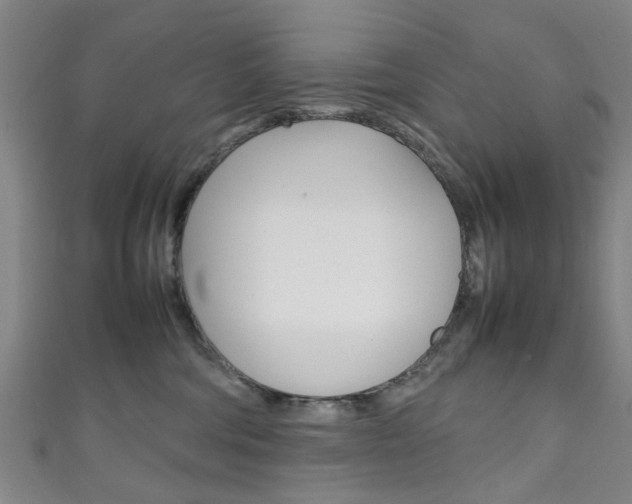 X0000111250330200907021025