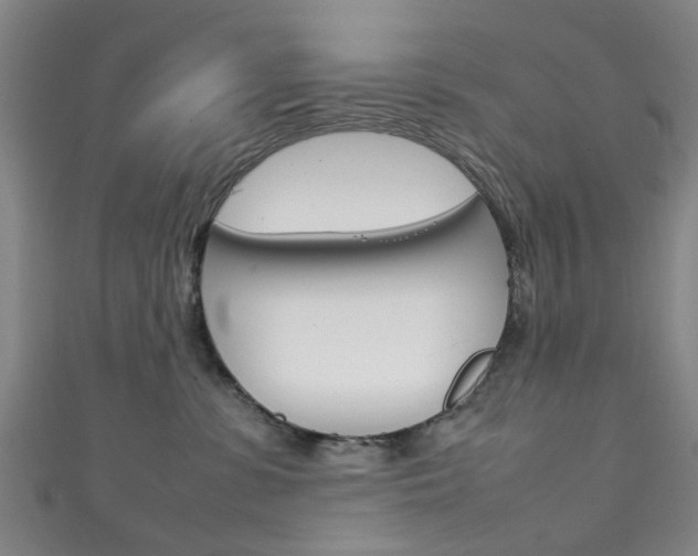 X0000111250331200907021025
