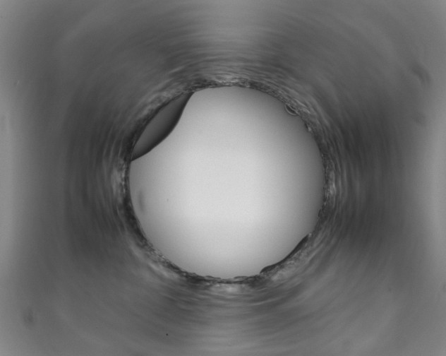 X0000111250332200907021025