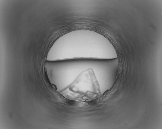 X0000111250333200907021025