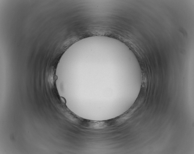 X0000111250334200907021025