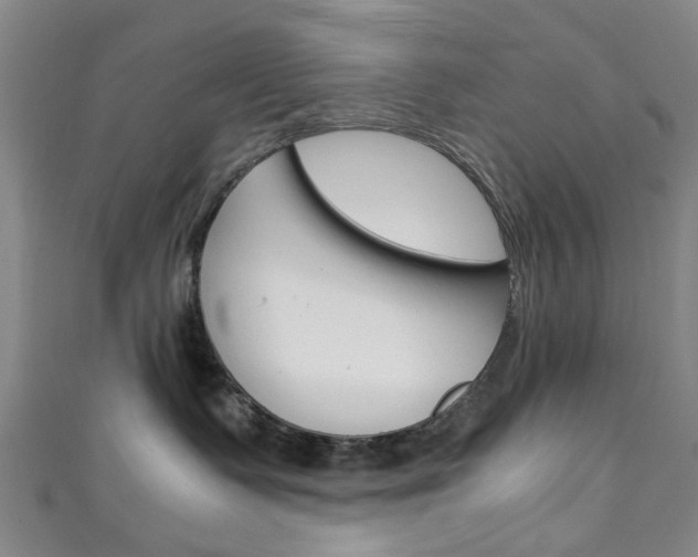 X0000111250335200907021025