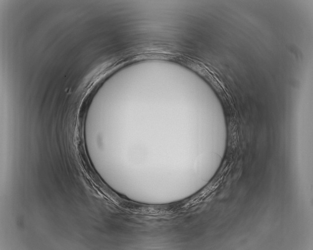 X0000111250338200907021024