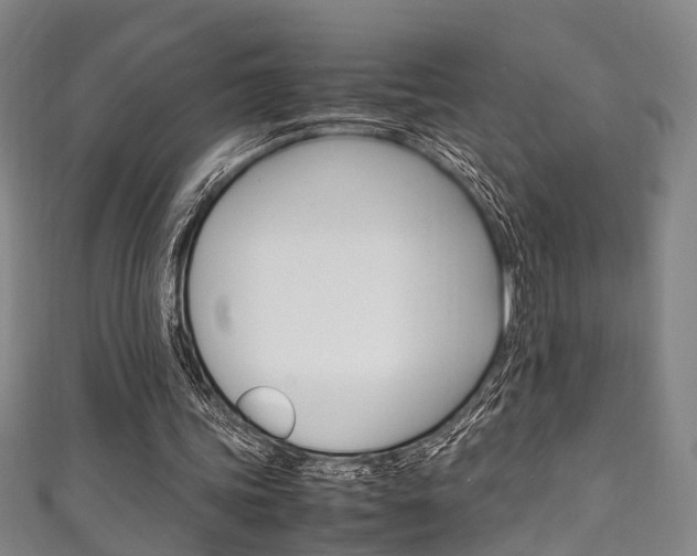 X0000111250339200907021024