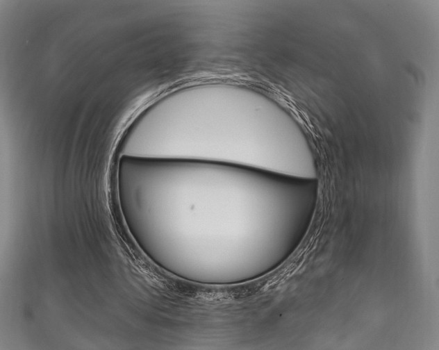 X0000111250340200907021024