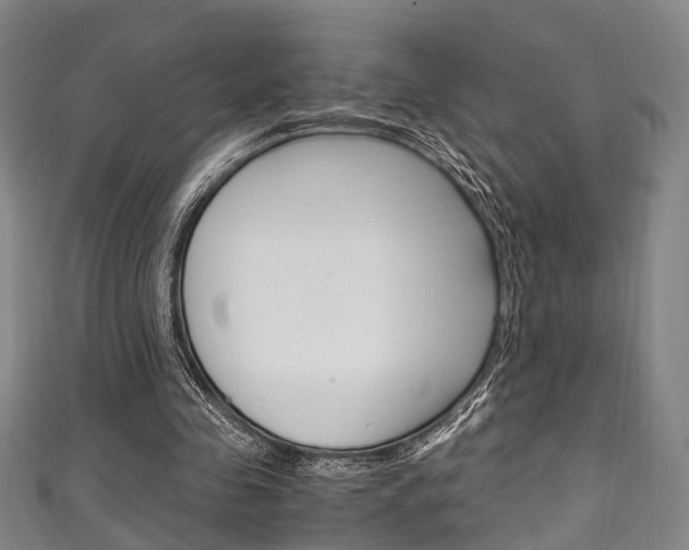 X0000111250341200907021024